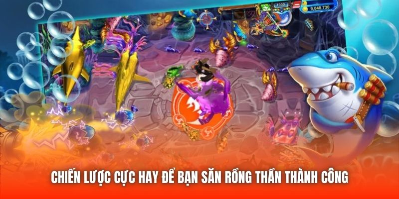 Chiến lược cực hay để bạn săn rồng thần thành công