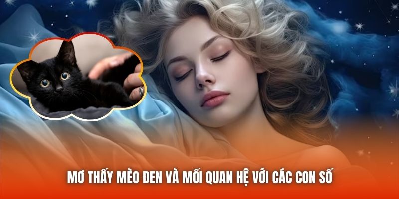 Mơ thấy mèo đen và mối quan hệ với các con số