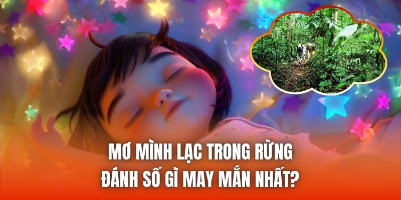 Mơ mình lạc trong rừng đánh số gì may mắn nhất?