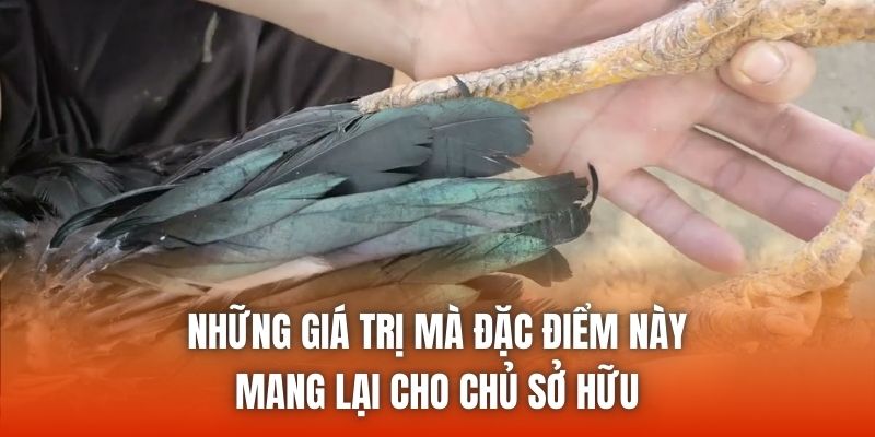 Những giá trị mà đặc điểm này mang lại cho chủ sở hữu